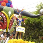 141 batalladeflores2015